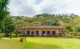 La Cabaña Ecohotel - Valle del Cocora